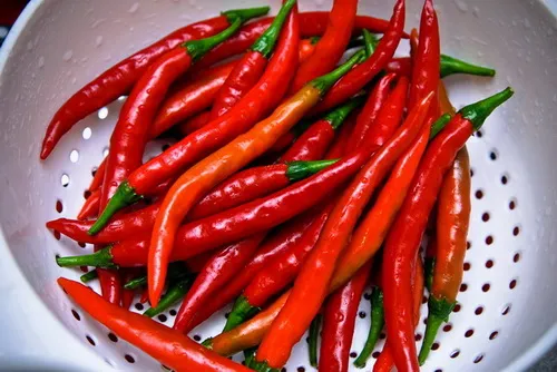 ljuta-paprika