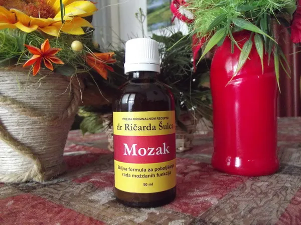 mozak