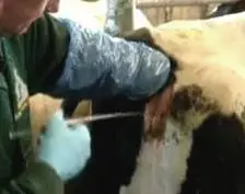 indeksirajrwrw