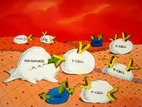 tcell