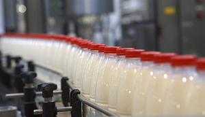 Japanese-Milk
