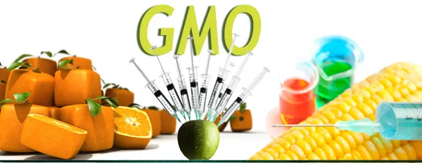 gmo copy